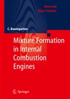 Carsten Baumgarten - Mixture Formation in Internal Combustion Engines