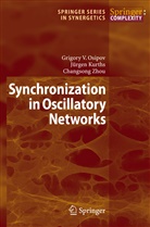 Jürge Kurths, Jürgen Kurths, Grigory Osipov, Grigory V Osipov, Grigory V. Osipov, Changsong Zhou - Synchronization in Oscillatory Networks