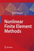 Peter Wriggers - Nonlinear Finite Element Methods