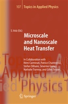 Sebastia Volz, Sebastian Volz - Microscale and Nanoscale Heat Transfer