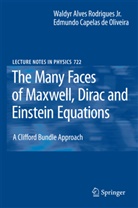 Edmundo Capelas de Oliveira, Edmundo C. de Oliveira, Edmundo C Oliveira, Edmundo C. Oliveira, Edmundo C. de Oliveira, Edmundo Capelas de Oliveira... - The Many Faces of Maxwell, Dirac and Einstein Equations