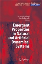 Moula Aziz-Alaoui, Moulay Aziz-Alaoui, BERTELLE, Bertelle, Cyrille Bertelle - Emergent Properties in Natural and Artificial Dynamical Systems