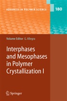 Giusepp Allegra, Giuseppe Allegra - Interphases and Mesophases in Polymer Crystallization I