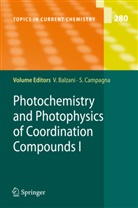 Vincenz Balzani, Vincenzo Balzani, CAMPAGNA, Campagna, Sebastiano Campagna - Photochemistry and Photophysics of Coordination Compounds I