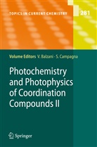 Vincenz Balzani, Vincenzo Balzani, CAMPAGNA, Campagna, Sebastiano Campagna - Photochemistry and Photophysics of Coordination Compounds II