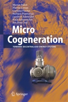 Marti Cames, Martin Cames, Corinna Fischer, Corinna et al Fischer, Marti Pehnt, Martin Pehnt... - Micro Cogeneration