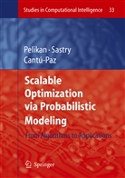 Erick CantúPaz, Erick Cantú-Paz, Martin Pelikan, Kumar Sastry, Kumara Sastry - Scalable Optimization via Probabilistic Modeling
