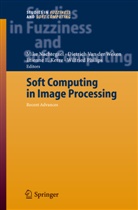 Etienne E Kerre et al, Etienne E. Kerre, Mike Nachtegael, Wilfried Philips, Dietric van der Weken, Dietrich van der Weken... - Soft Computing in Image Processing
