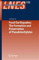 Aiming Lin - Fossil Earthquakes: The Formation and Preservation of Pseudotachylytes