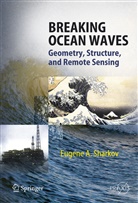 Eugene A Sharkov, Eugene A. Sharkov - Breaking Ocean Waves