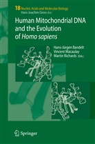 Hans-Jürgen Bandelt, Vincent Macaulay, Marti Richards, Martin Richards - Human Mitochondrial DNA and the Evolution of Homo sapiens