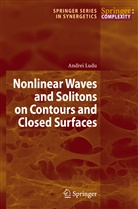 Andrei Ludu - Nonlinear Waves and Solitons on Contours and Closed Surfaces