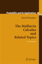David Nualart - The Malliavin Calculus and Related Topics