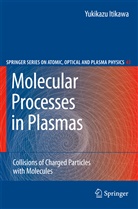Yukikazu Itikawa, Yukikazu Itikawa - Molecular Processes in Plasmas