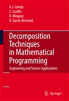 Enriqu Castillo, Enrique Castillo, Antonio Conejo, Antonio J Conejo, Antonio J. Conejo, Raquel Garcia-Bertrand... - Decomposition Techniques in Mathematical Programming
