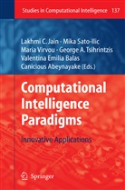 George A Tsihrintzis et al, Canicious Abeynayake, Valentina E. Balas, Valentina Emilia Balas, Lakhmi C. Jain, Mika Sato-Ilic... - Computational Intelligence Paradigms
