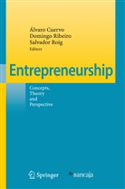 Álvaro Cuervo, Doming Ribeiro, Domingo Ribeiro, Salvador Roig - Entrepreneurship