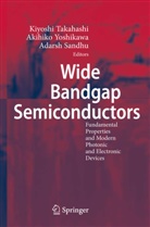 Adarsh Sandhu, Kiyoshi Takahashi, Akihik Yoshikawa, Akihiko Yoshikawa - Wide Bandgap Semiconductors