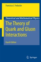 Francisco J Yndurain, Francisco J. Yndurain, Francisco J. Ynduráin - The Theory of Quark and Gluon Interactions