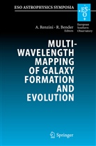 Bender, Bender, Ralf Bender, Alvi Renzini, Alvio Renzini - Multiwavelength Mapping of Galaxy Formation and Evolution