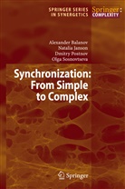 Alexande Balanov, Alexander Balanov, Natali Janson, Natalia Janson, Dmitry Postnov, Olga Sosnovtseva - Synchronization