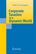 Paolo M Panteghini, Paolo M. Panteghini - Corporate Taxation in a Dynamic World