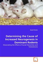 David Fischer - Determining the Cause of Increased Neurogenesis in Dominant Rodents