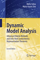 Mari Faliva, Mario Faliva, Maria G. Zoia, Maria Grazia Zoia - Dynamic Model Analysis