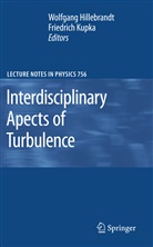 Wolfgan Hillebrandt, Wolfgang Hillebrandt, Kupka, Kupka, Friedrich Kupka - Interdisciplinary Aspects of Turbulence