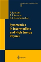 A. Faessler, G K Leontaris, T. S. Kosmas, T.S. Kosmas, G. K. Leontaris, G.K. Leontaris... - Symmetries in Intermediate and High Energy Physics