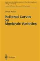 Janos Kollar, János Kollár - Rational Curves on Algebraic Varieties