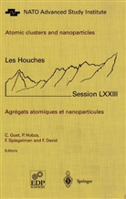 F. David, C. Guet, Hobza, P Hobza, P. Hobza, F. Spiegelman... - Atomic clusters and nanoparticles. Agregats atomiques et nanoparticules