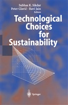 Pete Glavic, Peter Glavic, Ravi Jain, Subhas K. Sikdar - Technological Choices for Sustainability
