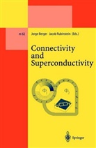 Jorg Berger, Jorge Berger, Rubinstein, Rubinstein, Jacob Rubinstein - Connectivity and Superconductivity