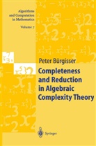 Peter Bürgisser - Completeness and Reduction in Algebraic Complexity Theory