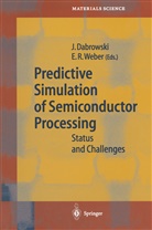 Jaroslaw Dabowski, Jare Dabrowski, Jarek Dabrowski, Jaroslaw Dabrowski, R Weber, R Weber... - Predictive Simulation of Semiconductor Processing