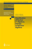 Rordam, M Rordam, M. Rordam, Mikael Rørdam, E Stormer, E. Stormer... - Classification of Nuclear C*-Algebras. Entropy in Operator Algebras
