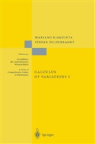 Marian Giaquinta, Mariano Giaquinta, Stefan Hildebrandt - Calculus of Variations I