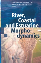 Blondeaux, Blondeaux, P. Blondeaux, Paolo Blondeaux, Seminara, G Seminara... - River, Coastal and Estuarine Morphodynamics