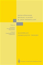 Pete Bürgisser, Peter Bürgisser, Michae Clausen, Michael Clausen, Amin Shokrollahi, M. Amin Shokrollahi... - Algebraic Complexity Theory
