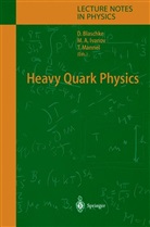 Mikha A Ivanov, Mikhal A Ivanov, David Blaschke, Mikhal A. Ivanov, Thomas Mannel - Heavy Quark Physics