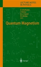 Raymond F. Bishop, Damian J. J. Farnell, Damian J.J. Farnell, Damian J J Farnell et al, Johanne Richter, Johannes Richter... - Quantum Magnetism