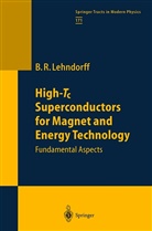 Beate Lehndorff, Beate R. Lehndorff - High-Tc Superconductors for Magnet and Energy Technology