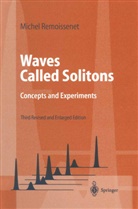 Michel Remoissenet - Waves Called Solitons