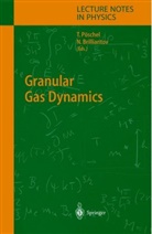 Nikolai Brilliantov, Nikolai V. Brilliantov, Thorste Pöschel, Thorsten Pöschel, V Brilliantov, V Brilliantov - Granular Gas Dynamics