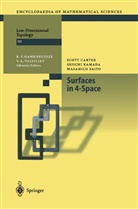 Scot Carter, Scott Carter, Seiich Kamada, Seiichi Kamada, Masahico Saito - Surfaces in 4-Space