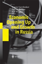 Evgeny Gavrilenkov, Pau J J Welfens, Paul J J Welfens, Paul J. J. Welfens, Paul J.J. Welfens, Ralf Wiegert - Economic Opening Up and Growth in Russia