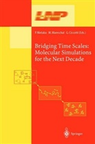Giovanni Ciccotti, Miche Mareschal, Michel Mareschal, Peter Nielaba - Bridging the Time Scales