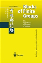 Lluis Puig, Lluís Puig - Blocks of Finite Groups