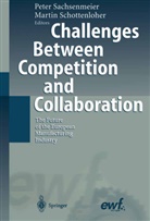 Pete Sachsenmeier, Peter Sachsenmeier, Schottenloher, Schottenloher, Martin Schottenloher - Challenges Between Competition and Collaboration